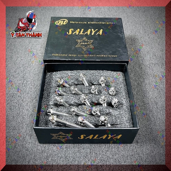 Bộ ốc lốc máy salaya sirius xăng cơ 17 con ms746