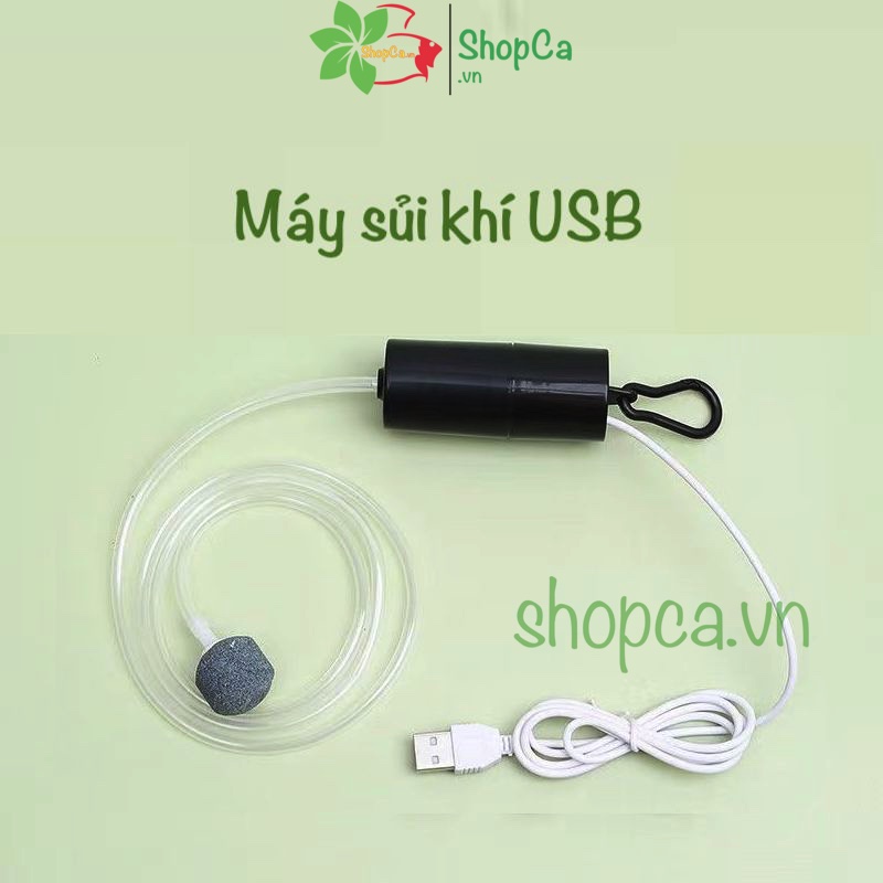 Trọn bộ máy sủi oxy mini kết nối USB