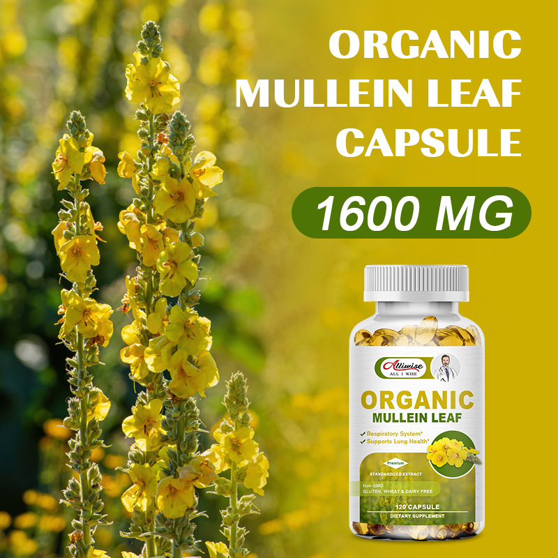 Alliwise Lung Detox Mullein Leaf Capsules bổ sung hô hấp thảo dược để làm sạch phổi, hỗ trợ phổi, cải thiện hô hấp và chức năng miễn dịch