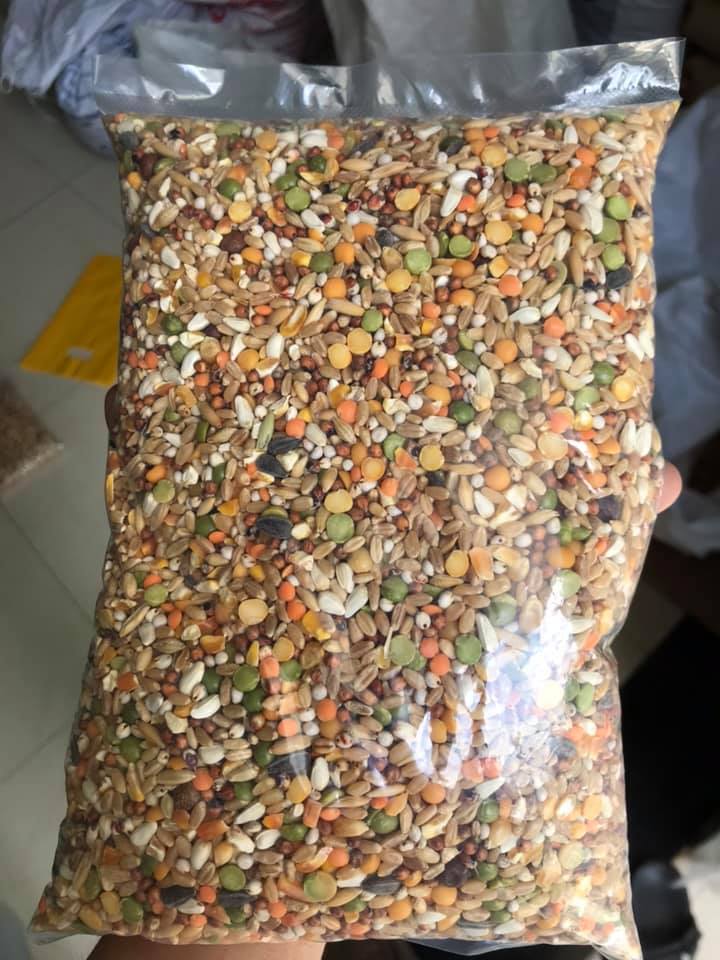[HCM]Ngũ cốc ko cám đạm dành cho gà đá 1kg.