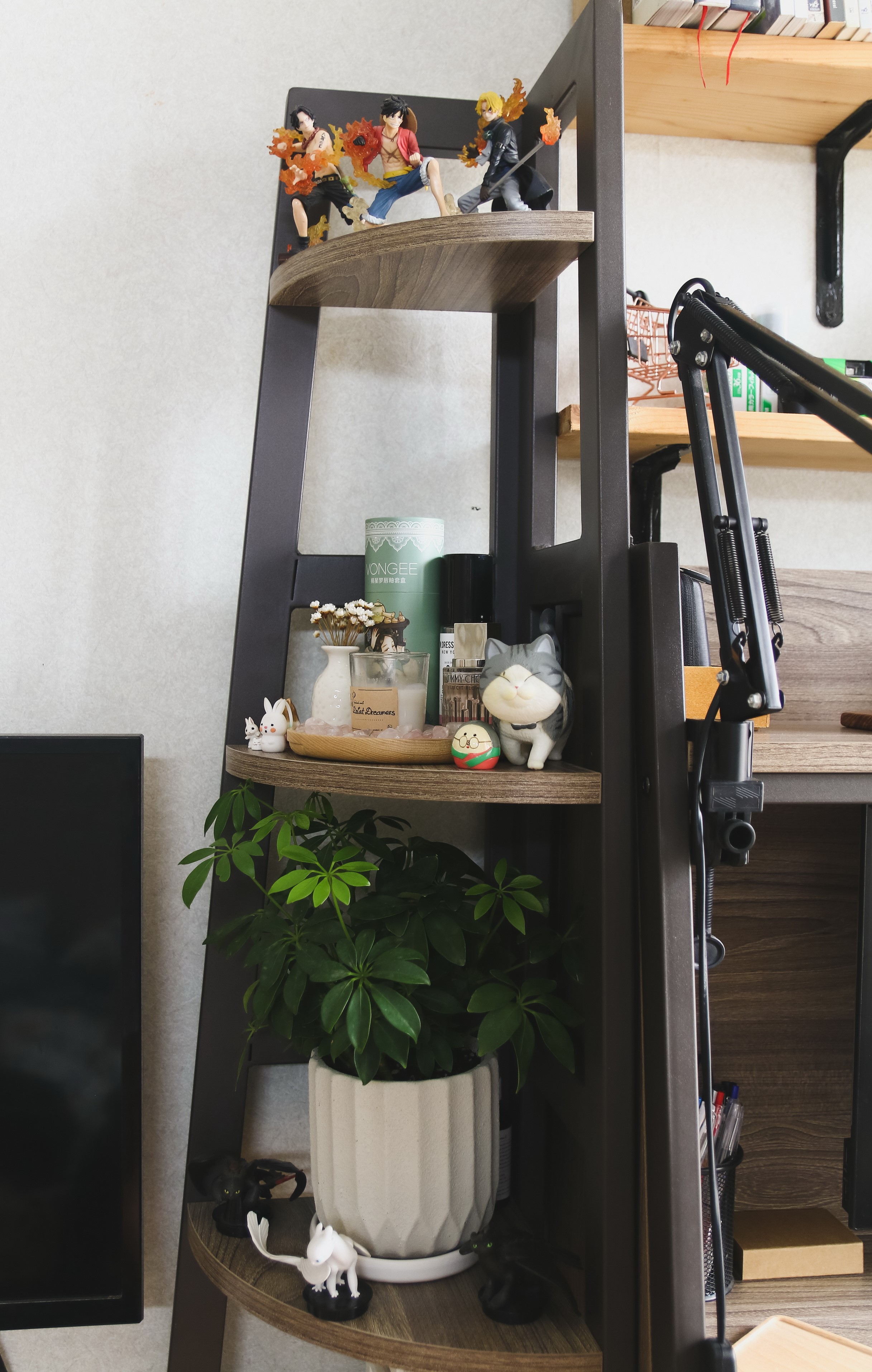 Kệ góc - Kệ sách đứng Mipu SIENG - Màu Grey Walnut