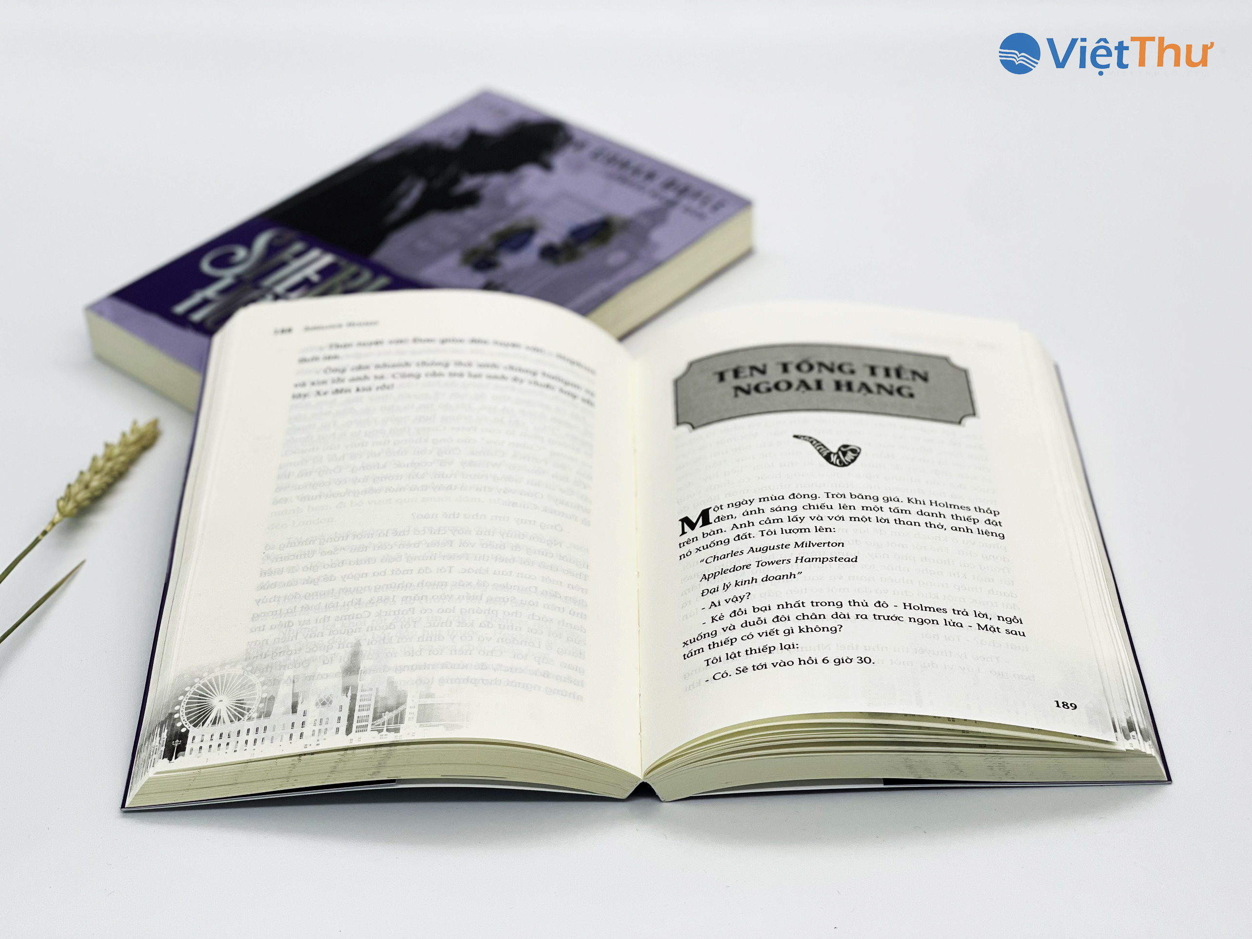 Sherlock Holmes - Kẻ Dị Dạng (Bìa Mềm)(VT)