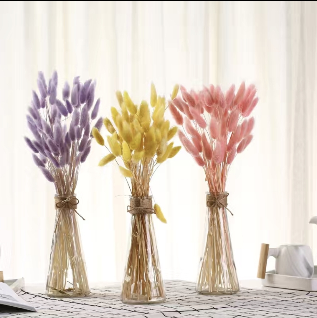 Bình thuỷ tinh cắm hoa decor