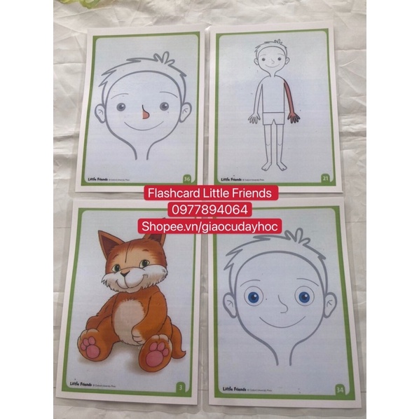 FLASHCARD LITTLE FRIENDS -76 thẻ ép plastic (khổ A5 )