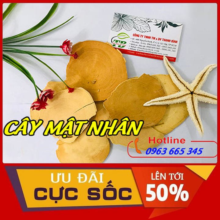 Cây mật nhân khô loại 1 hàng cty 500g - thảo dược thanh bình
