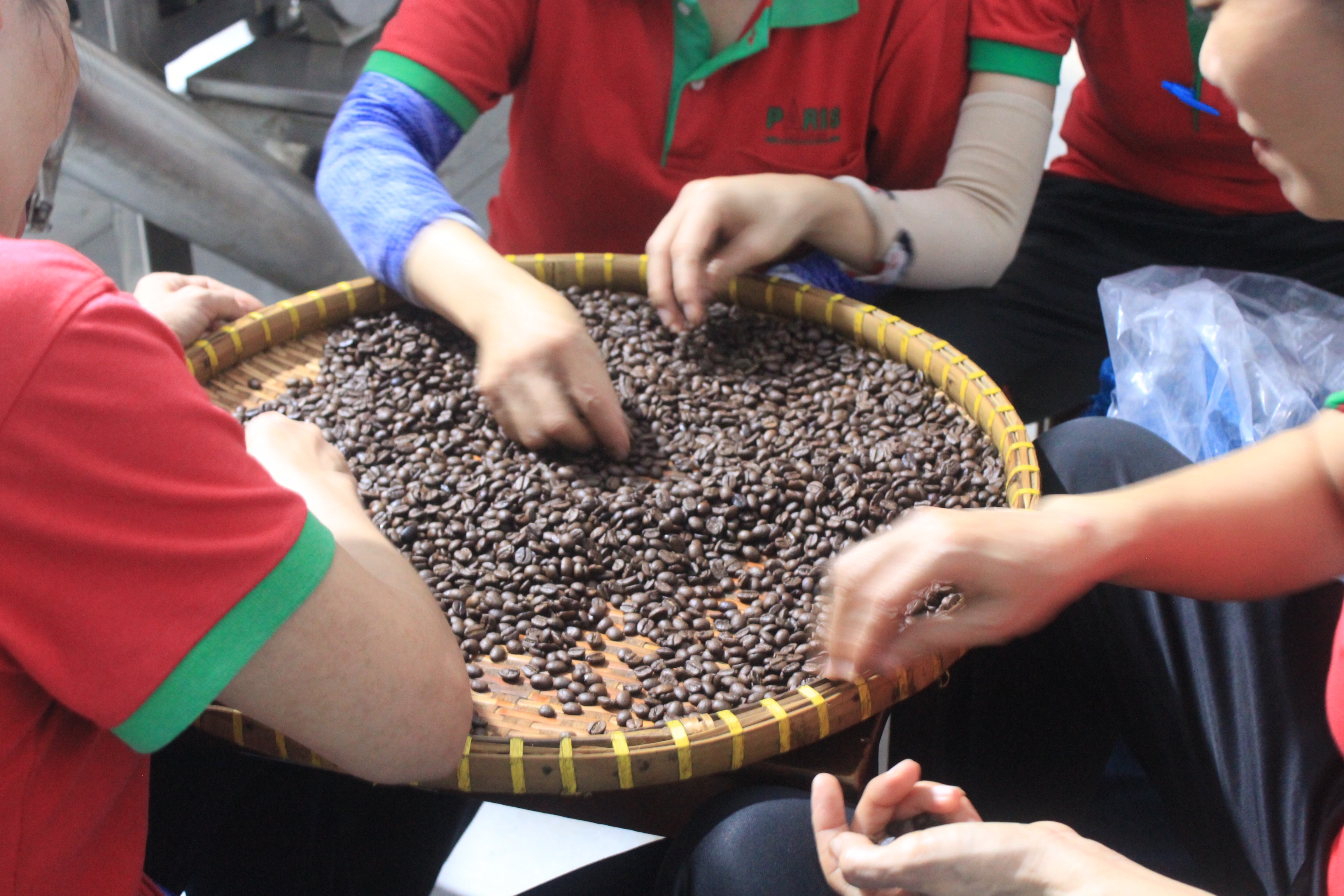 Cà phê bột pha phin Chồn No.1 [Thùng 10kg tặng thêm 1 kg]