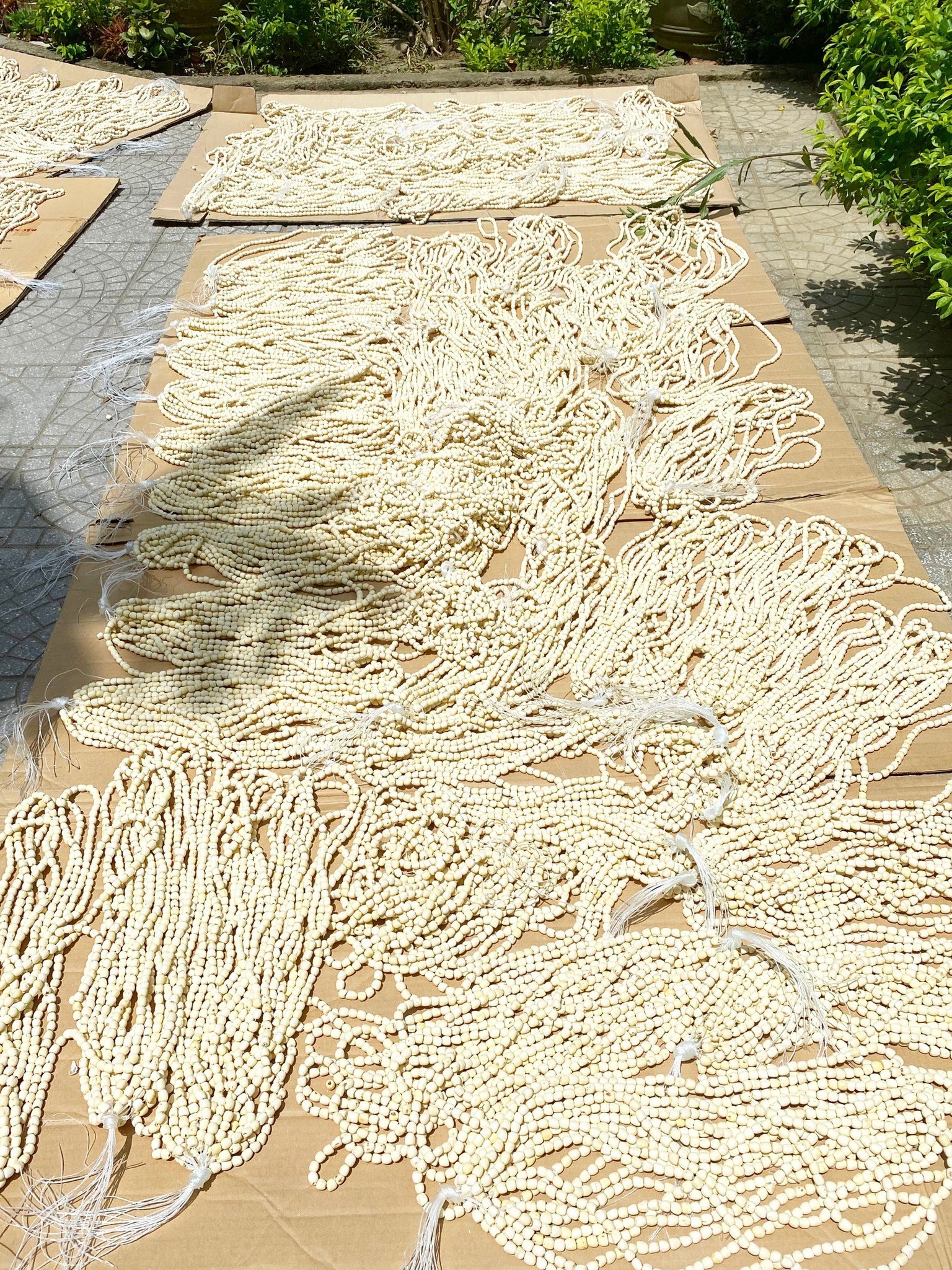 HẠT SEN KHÔ HUẾ 1KG
