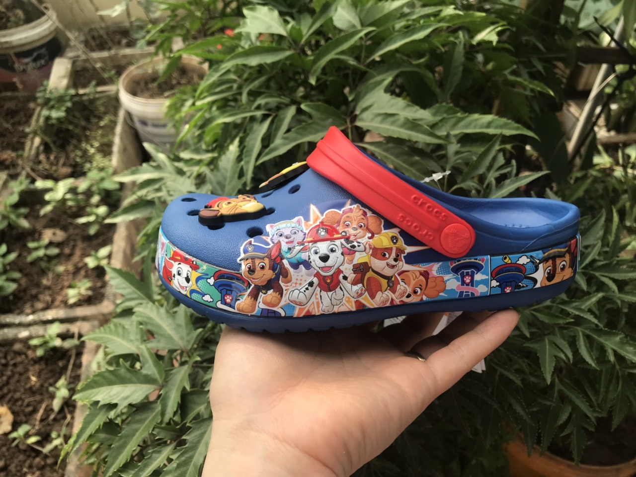 SỤC TRẺ EM CROCS- IN HÌNH 3D CHÓ CỨU HỘ