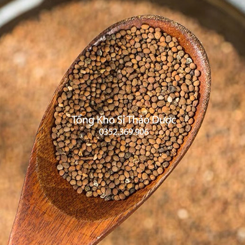 Thỏ Ty Tử 100g (Vàng Đẹp)
