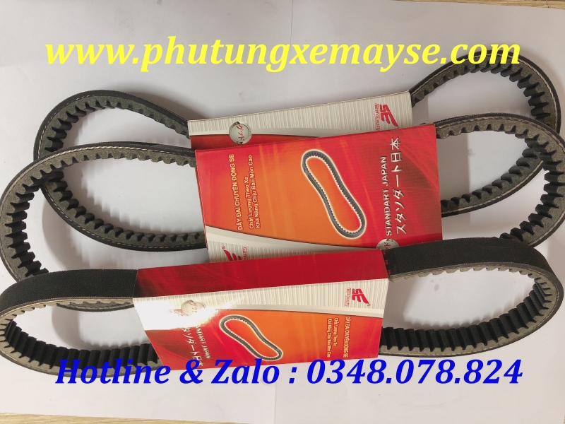 Dây Cuaroa xe SHARK