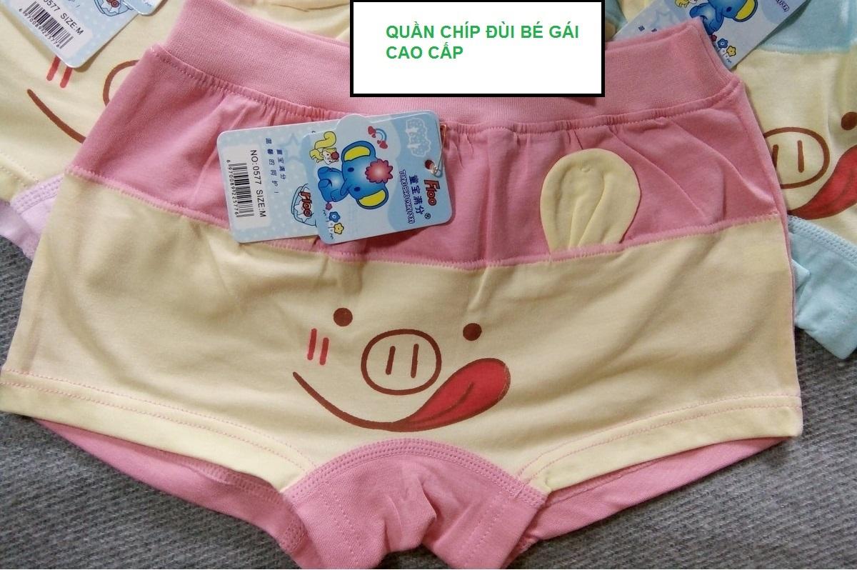 [HCM]COMBO 5 QUẦN CHIP BÉ GÁI HÌNH HEO 0577