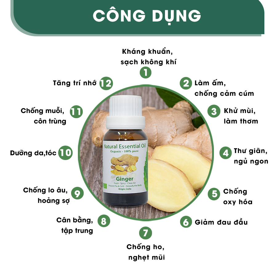 Tinh Dầu Aroma Gừng Ginger - 10ml/15ml/30ml/50ml