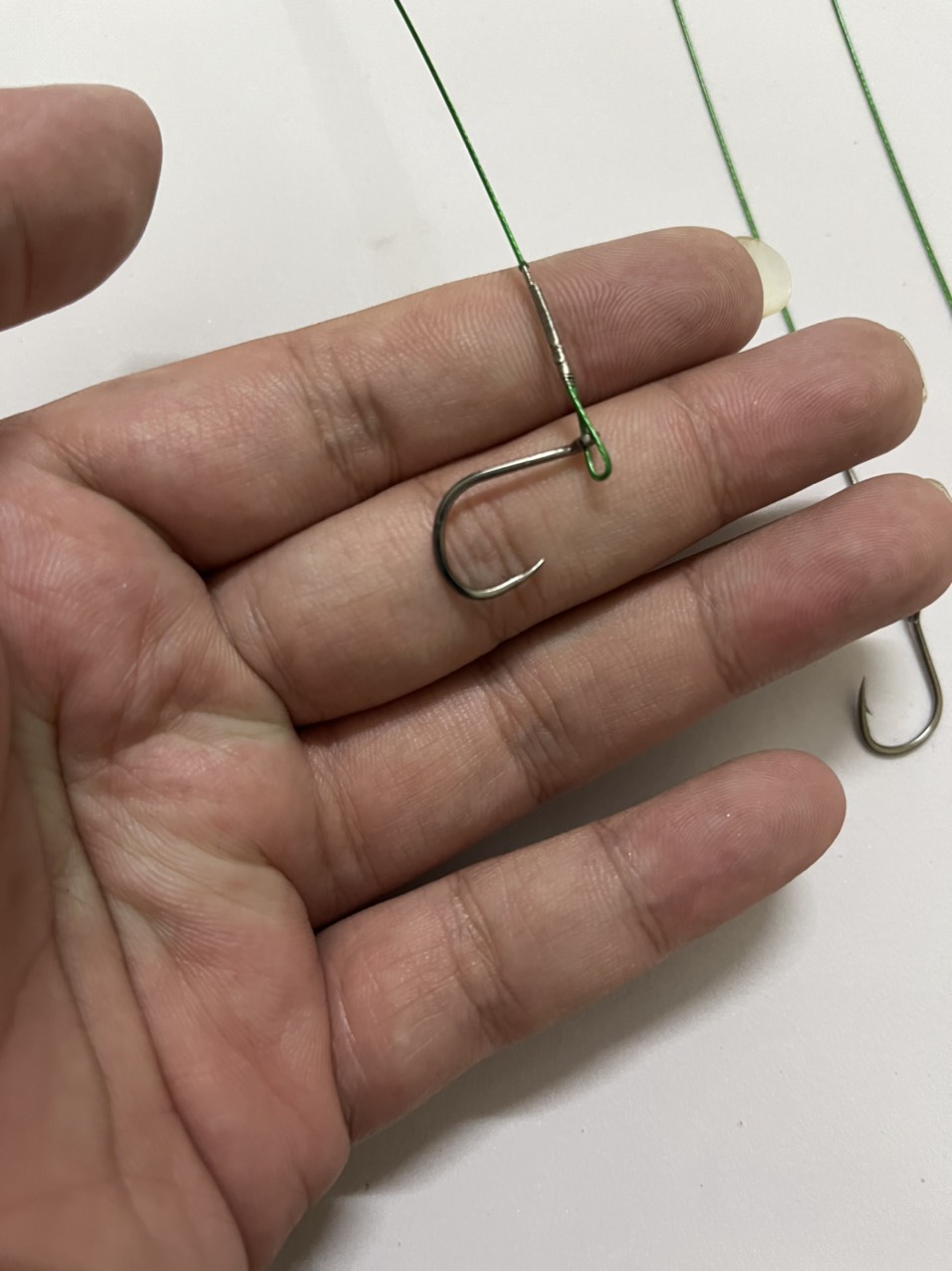 Cáp câu cá chim, lưỡi câu cá
