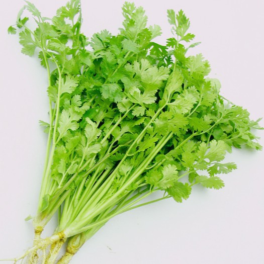 (20gr)Hạt Giống Ngò Rí Rau Mùi