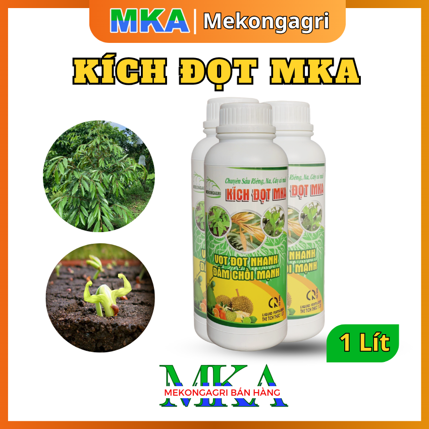 Phân bón kích rễ - bung chòi, đọt - Kích đọt MKA - Chai 1 lít