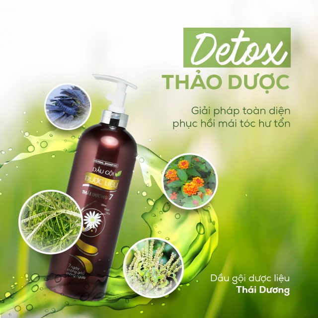 Dầu Gội Dược Liệu Thái Dương 7