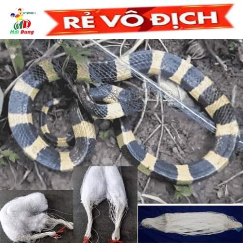 lưới bẫy rắn - Nhật Bản