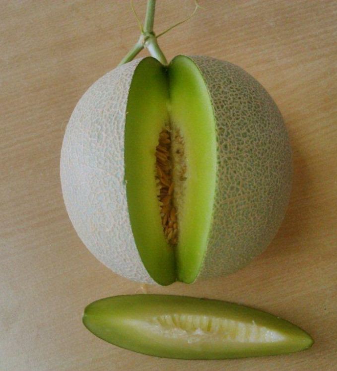 Combo of 2 Packs of Melon Seeds - (Cantaloupe - Super Sweet Pear Melon)