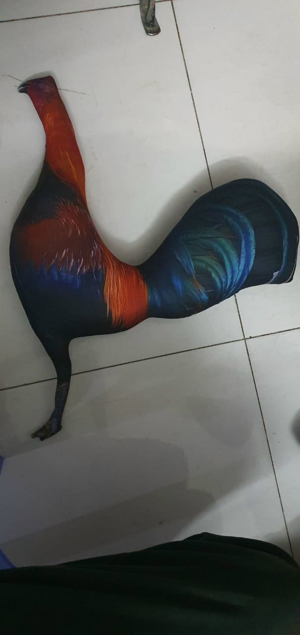 ( hình thật)Gà thú bông 3D - đồ chơi