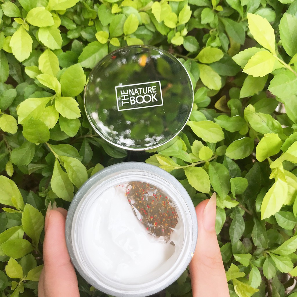 Kem dưỡng trắng nhân sâm - The Nature Book