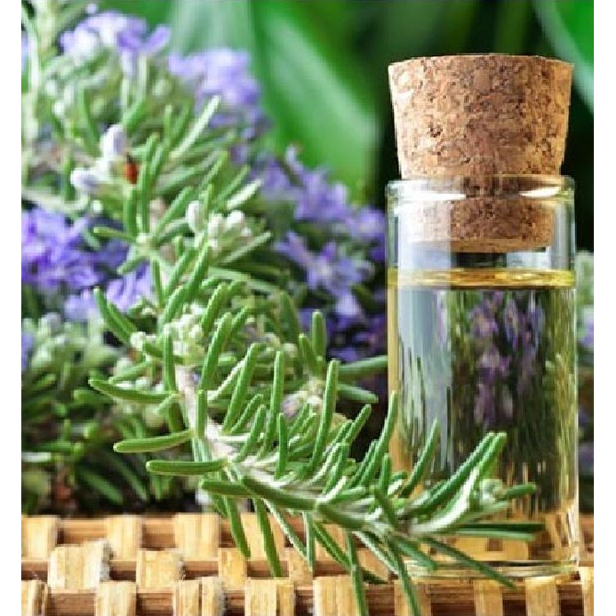 Hạt Giống Cây Hương Thảo