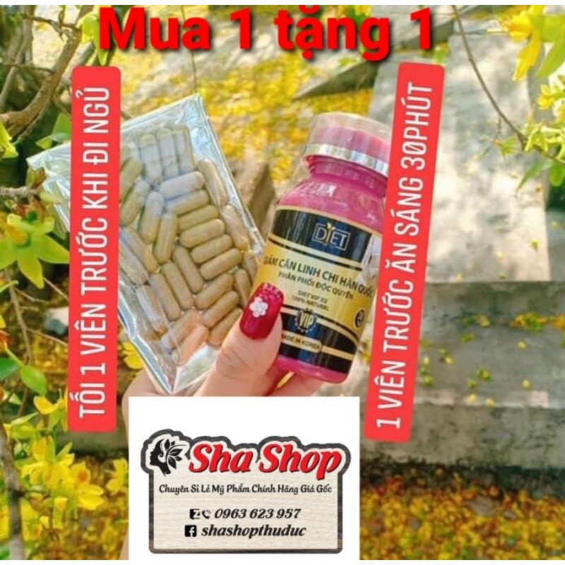 Giảm Cân Cấp Tốc - Giảm Cân Linh Chi Hàn Quốc  Mẫu Mới