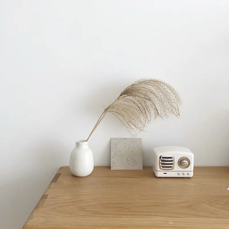 Loa Bluetooth Mini Vintage Phong Cách Retro (Ảnh Thật)