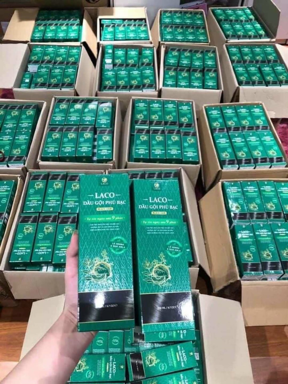 Dầu gội phủ bạc Laco Black Hair