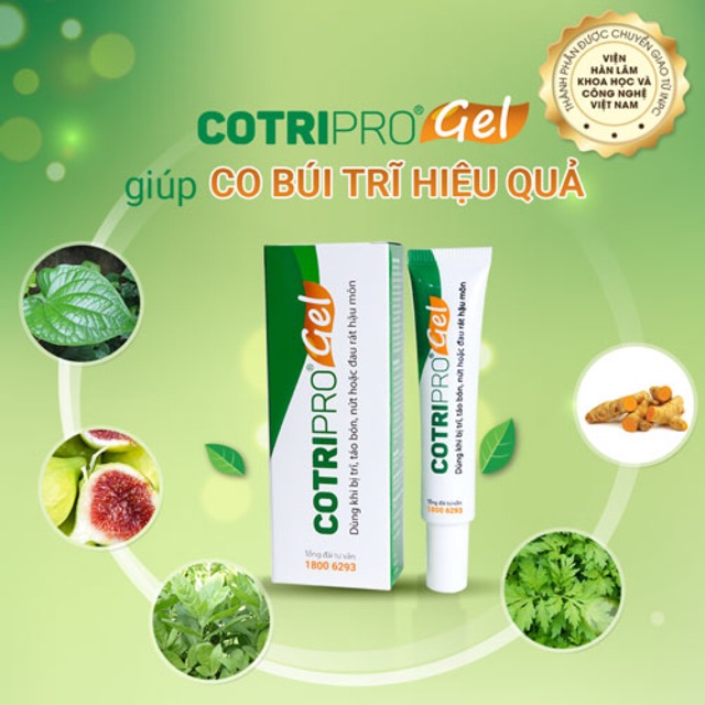 COTRIPRO gel 10g kem bôi trĩ