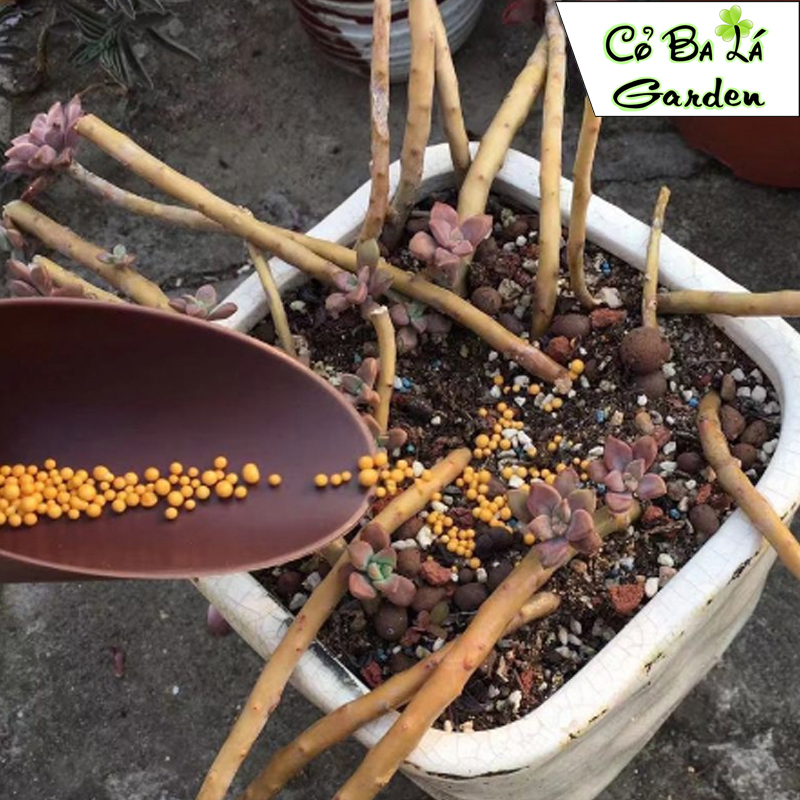 PHÂN TAN CHẬM VÀNG 14 -14 -14 (túi 100gram)