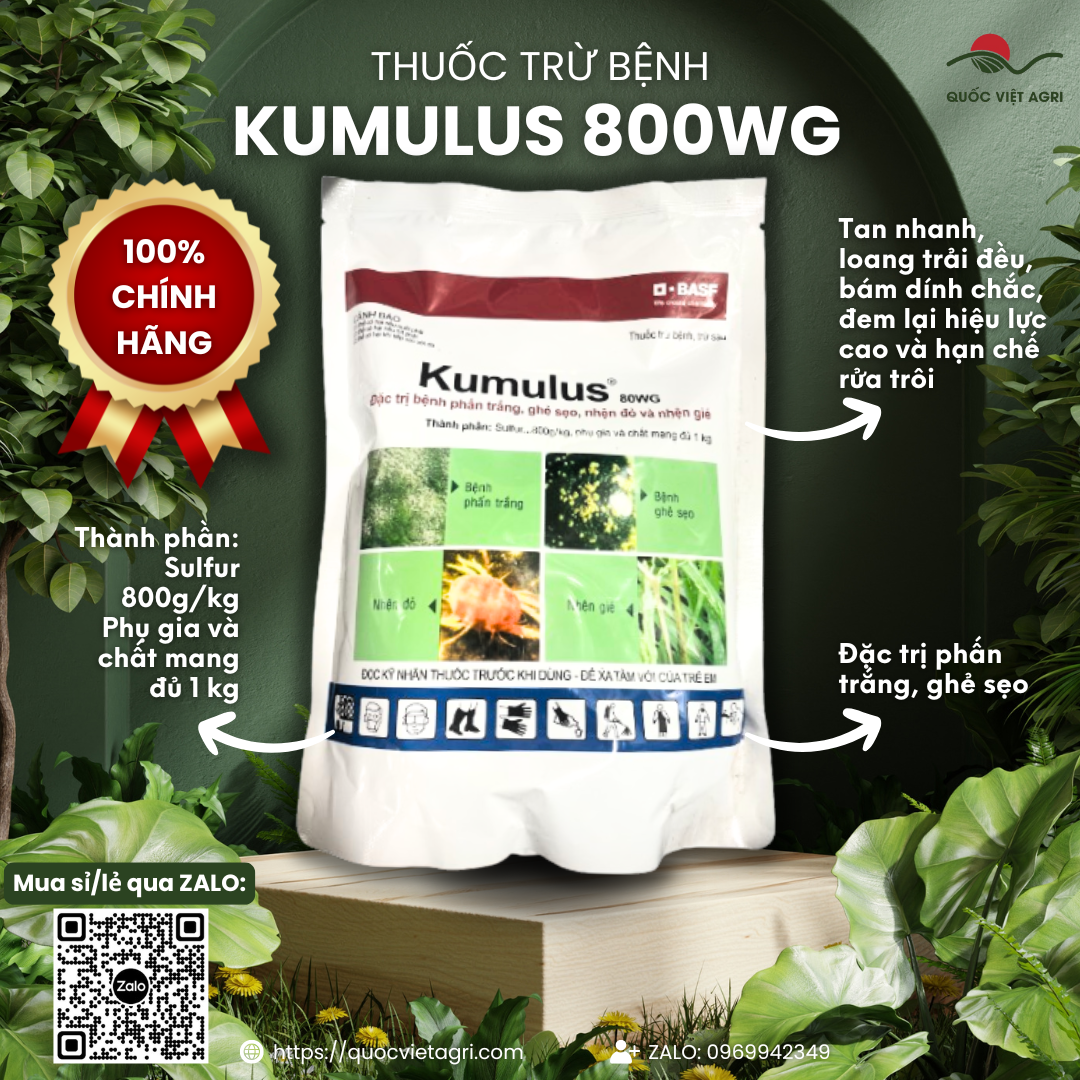 Thuốc trừ bệnh KUMULUS 80WG (gói 1KG) - Sulfur 800g/kg Trừ bệnh phấn trắng, ghẻ sẹo, nhện đỏ, nhện gié