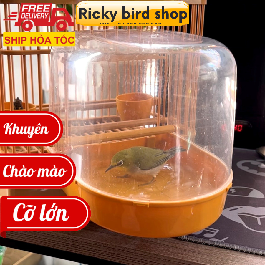 Lồng tắm chim chào mào, khuyên - Lồng tắm chim cài lồng cỡ lớn tiện lợi