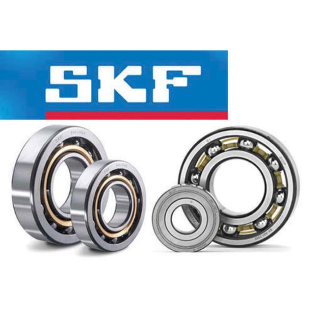 Bạc Đạn Lốc Nồi 6002 Chính Hãng SKF