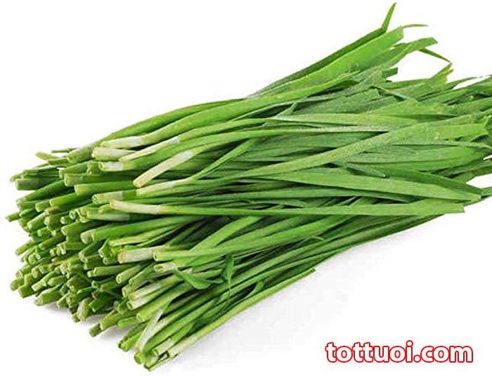 [Rẻ vô địch] [Ảnh thật] Hạt Giống Cây Hẹ - Hạt giống rau thơm