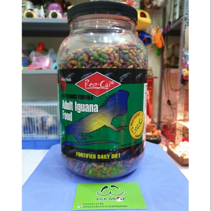 RepCal cho Igu trưởng thành