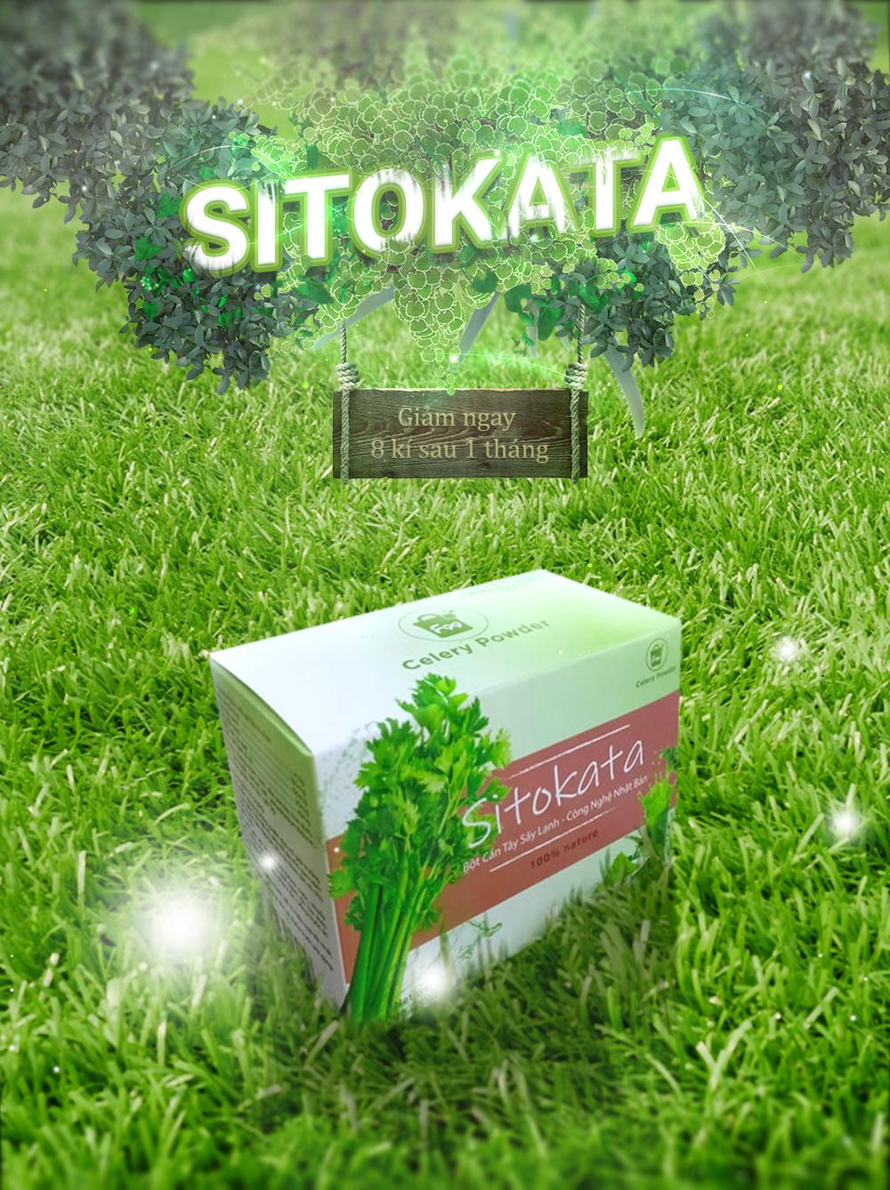 Bột Cần Tây Giảm Cân SITOKATA ( Ưu đãi từ combo 3 hộp )