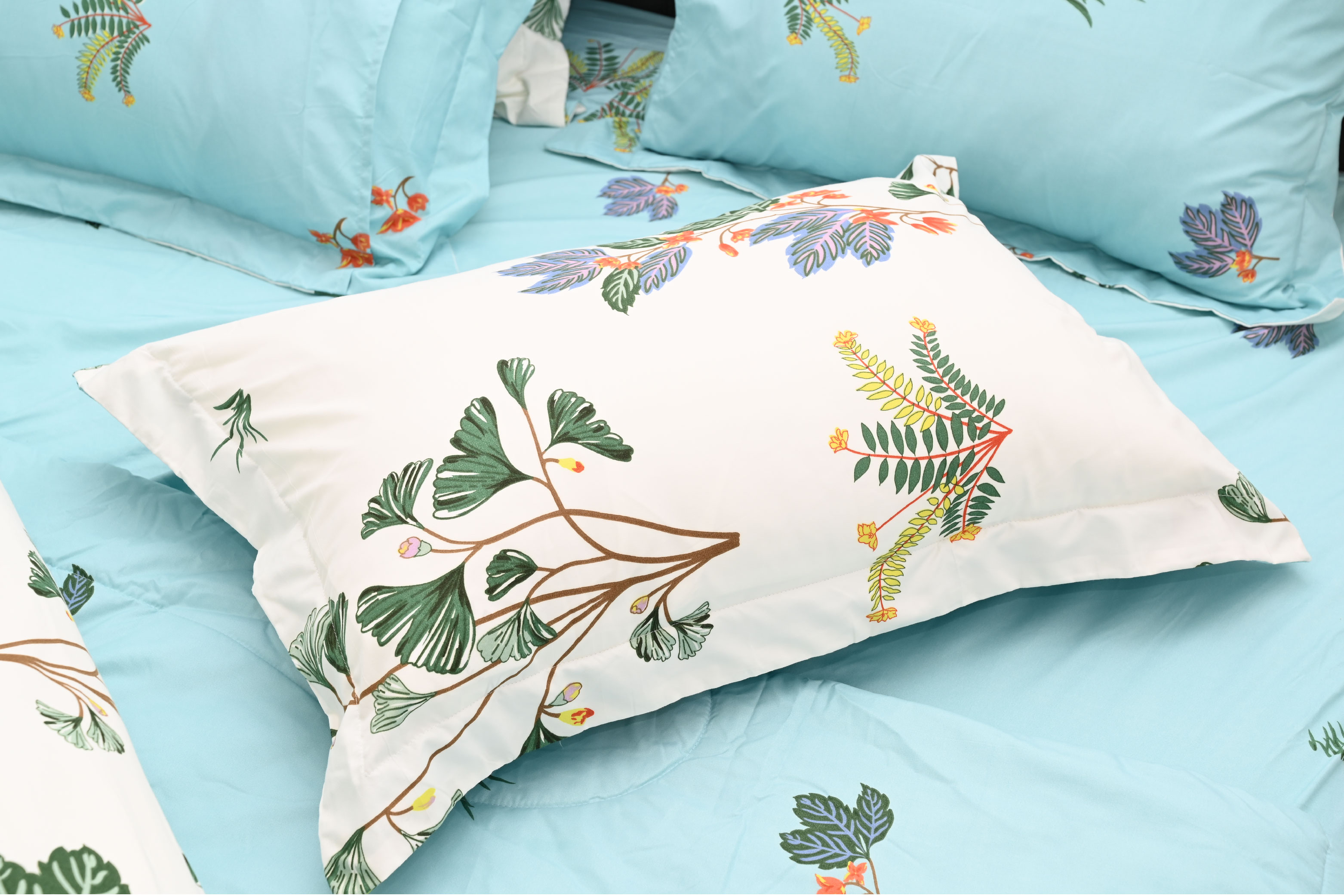 Bộ 5 món drap, áo gối kèm mền Stefani - ST200049 - Bộ chăn ga gối cotton 1m6x2m, 1m8x2m
