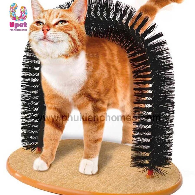 Đồ chơi mèo gãi ngứa