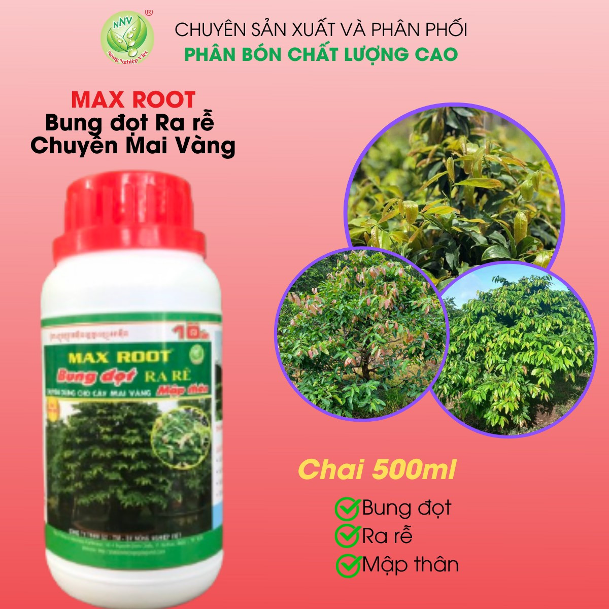 MAX ROOT BUNG ĐỌT RA RỄ MAI VÀNG CHAI 500ML