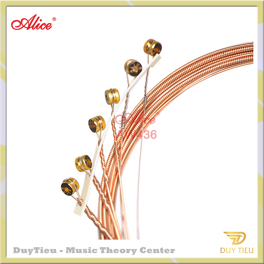 AW436 Acoustic Guitar String Set, Plated Steel Plain string, Phosphor Bronze Winding, Anti-Rust Coating - DuytieuGuitar DT017