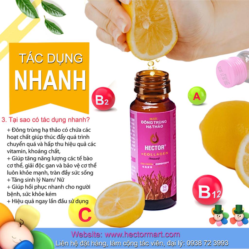 Đông trùng hạ thảo Hector Sâm (Hộp 10 Chai)