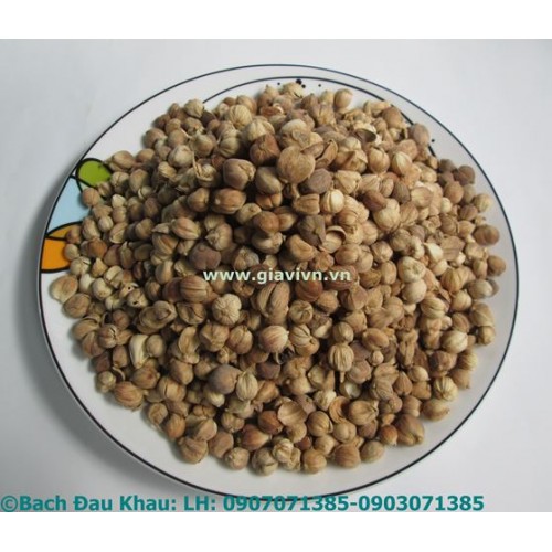 Hạt Bạch Đậu Khấu 100gram