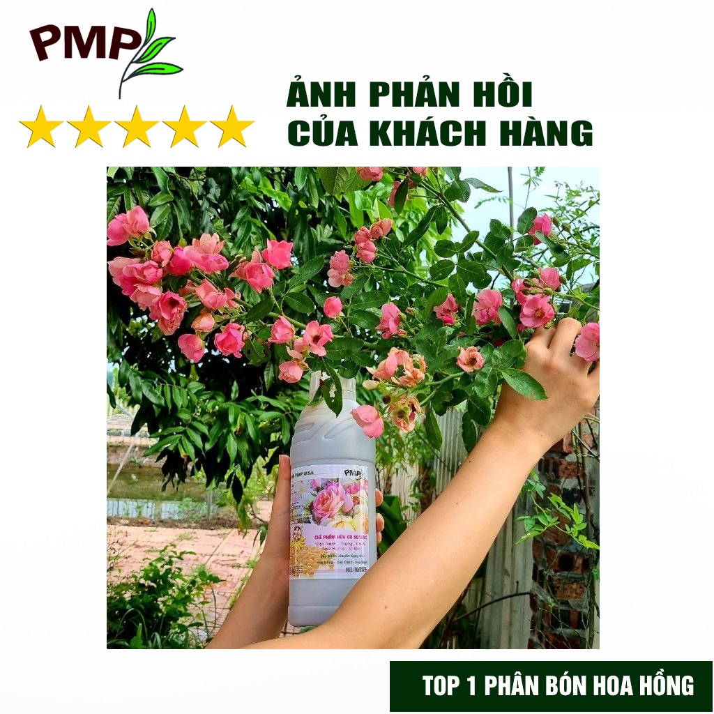 Phân Bón Hoa Hồng SOYMIC & Super Probio PMP Viên Nén Tan Chậm