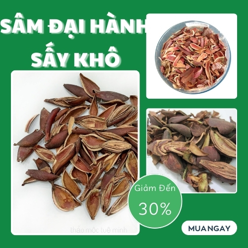 [Hàng mới về] Sâm đại hành sấy khô 1kg - Thảo Dược Tấn Phát - Chuyên dùng để pha trà và sắc nước uống