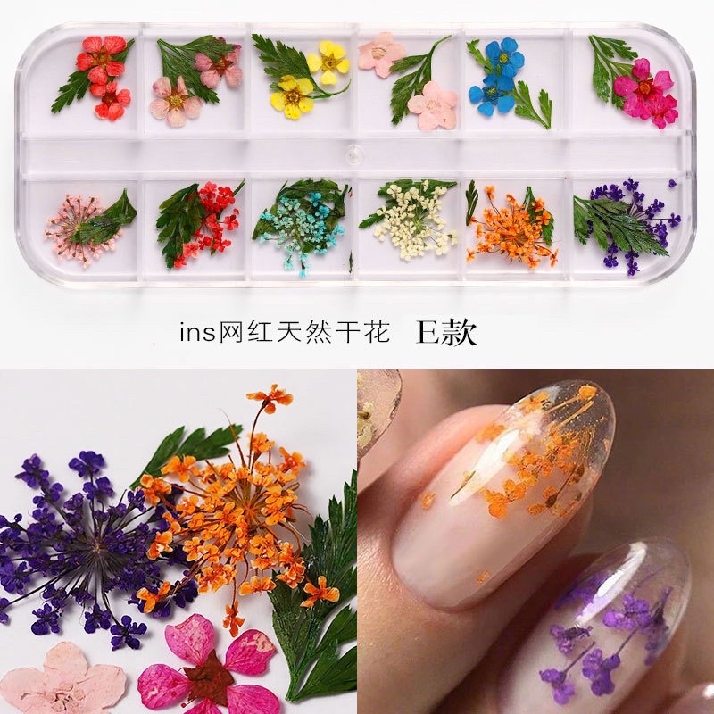 hoa khô nail làm nail dán móng tay