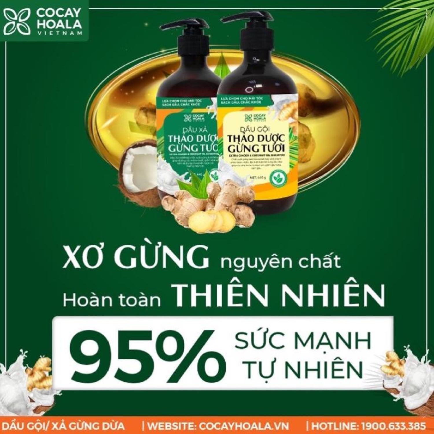 Combo dầu gội và xả gừng dừa hữu cơ 880ml