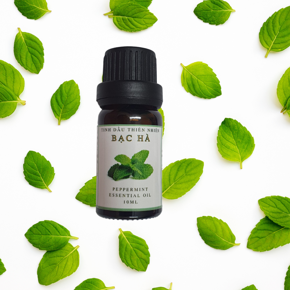 tinh dầu bạc hà Liên Hương