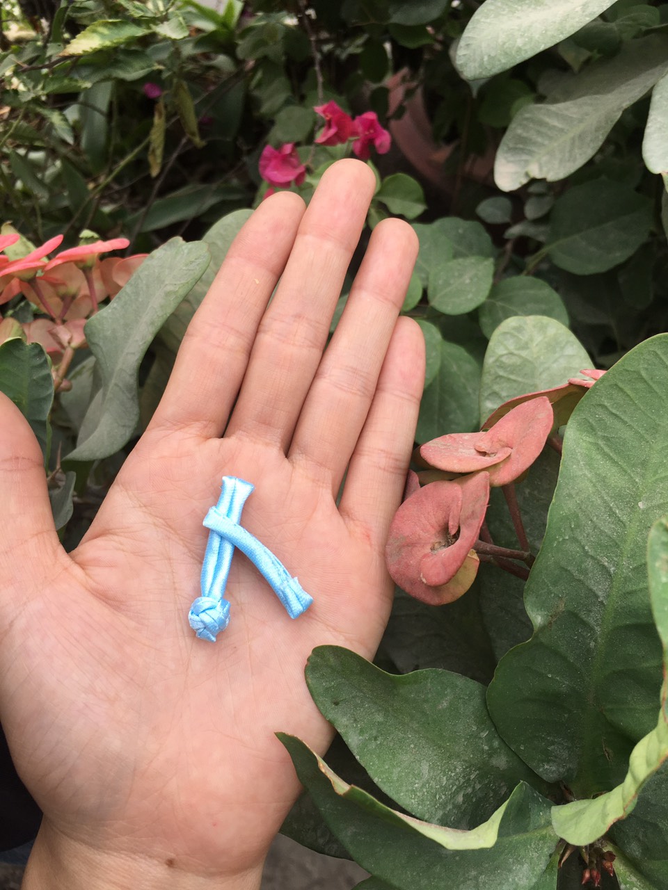 Bộ 5 nút tàu cây thanh ngang