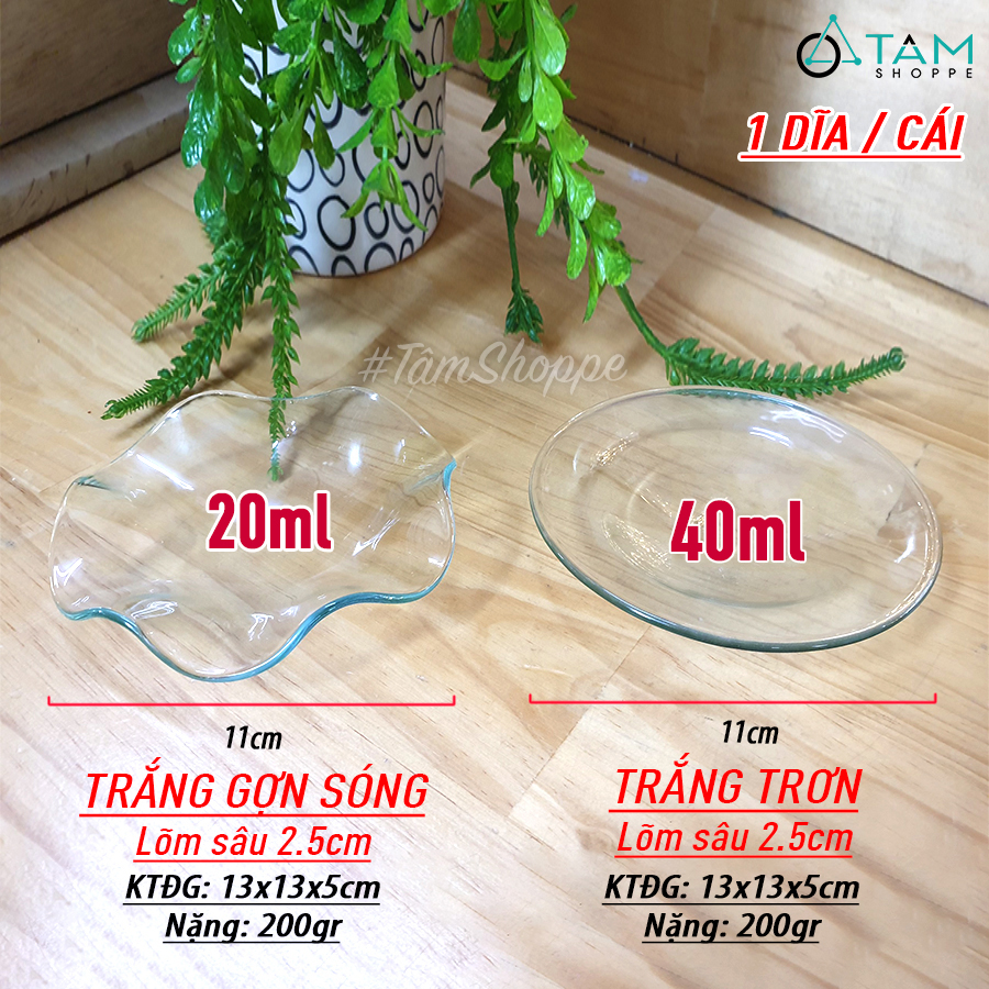 [ HCM ] Dĩa đèn xông tinh dầu điện PKTTDTD-DTT