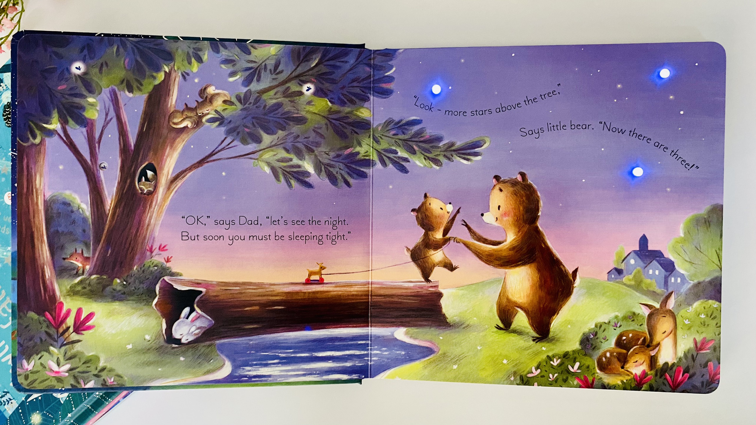 Twinkly Twinkly Bedtime Book